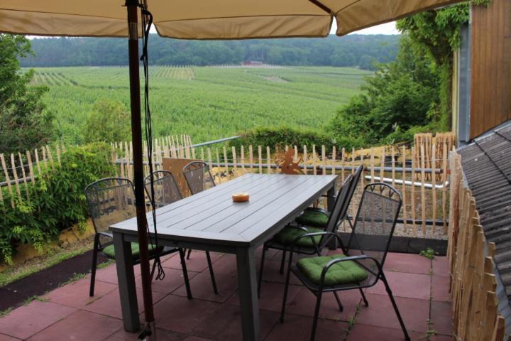 Foersters Weinterrassen Appartement Bad Neuenahr-Ahrweiler Buitenkant foto